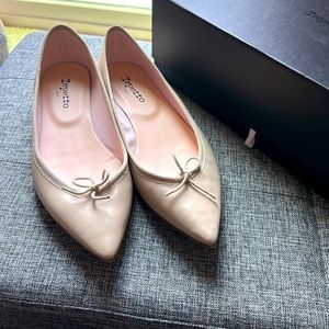 Repetto Pointy Toe Flat Ballet Flats 39.5